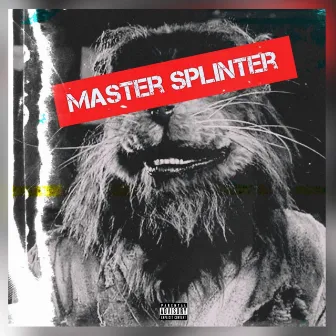 Master Splinter by Sean Mac