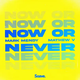 Now or Never by Mathew V