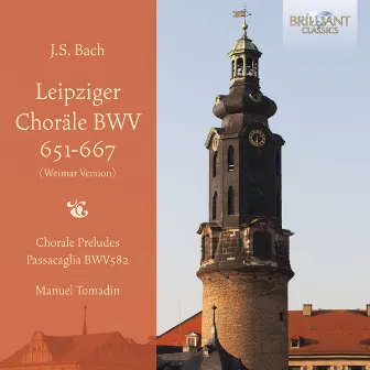 J.S. Bach: Leipziger Choräle, BWV 651-667 by Manuel Tomadin