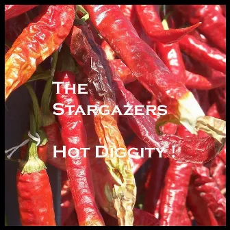 Hot Diggity! by Stargazers