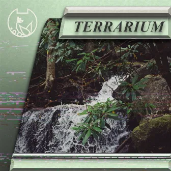 Terrarium by Bub