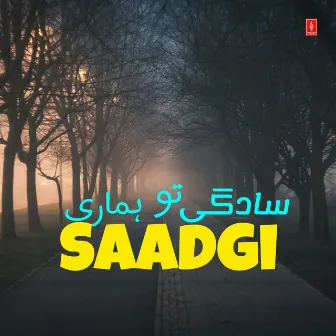 Saadgi by Irfan Sanjrani