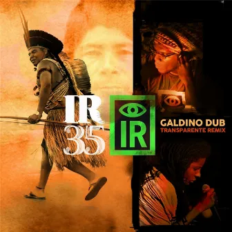 I R 35 Galdino Dub (Transparente Remix) [feat. Tapedave & Jah9] by Indigenous Resistance