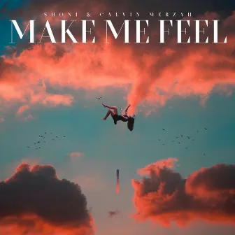 Make Me Feel by Shoni