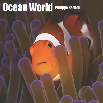 Ocean World by Philippe Bestion