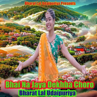 Bhai Na Jaya Dekhba Choro by 