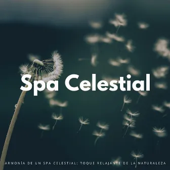 Armonía De Un Spa Celestial: Toque Relajante De La Naturaleza by Próxima Naturaleza