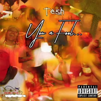 You a Fool by Tesh