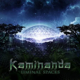 Liminal Spaces by Kaminanda