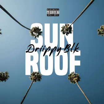 Sun Roof by Driippy Blk