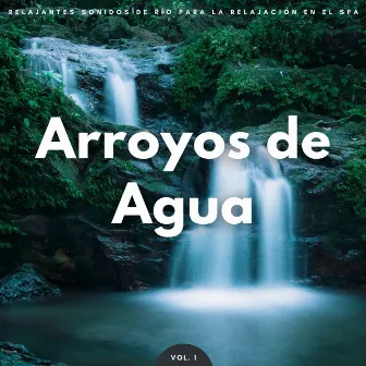 Arroyos De Agua: Relajantes Sonidos De Río Para La Relajación En El Spa Vol. 1 by Música asiática de spa