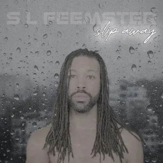 slip away by S L Feemster