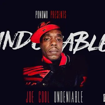 UnDenyable by Joe Cool