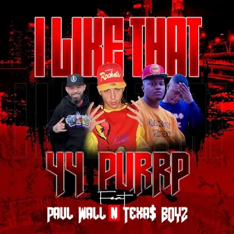 I Like That (feat. Paul Wall & TEXAS BOYZ) by 44 Purrp