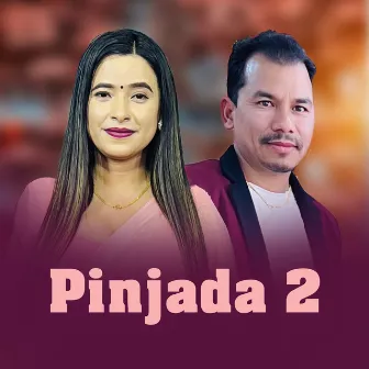 Pinjada 2 by Gyanendra Shahi