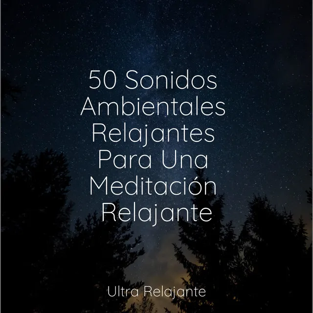 50 Sonidos Ambientales Relajantes Para Una Meditación Relajante