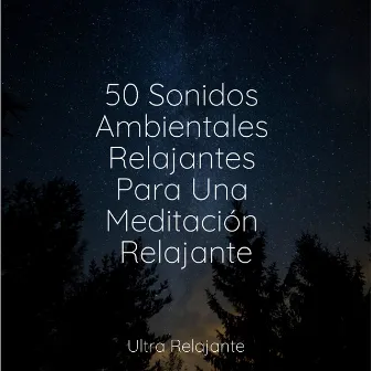 50 Sonidos Ambientales Relajantes Para Una Meditación Relajante by Meditar Profundamente