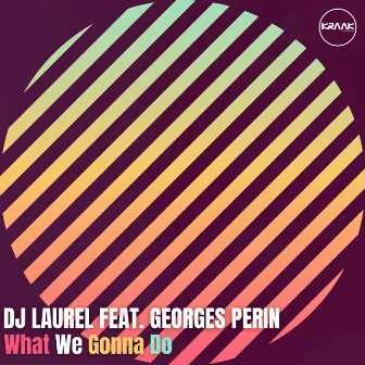 What We Gonna Do by Dj Laurel