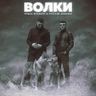 Волки by Tural Everest