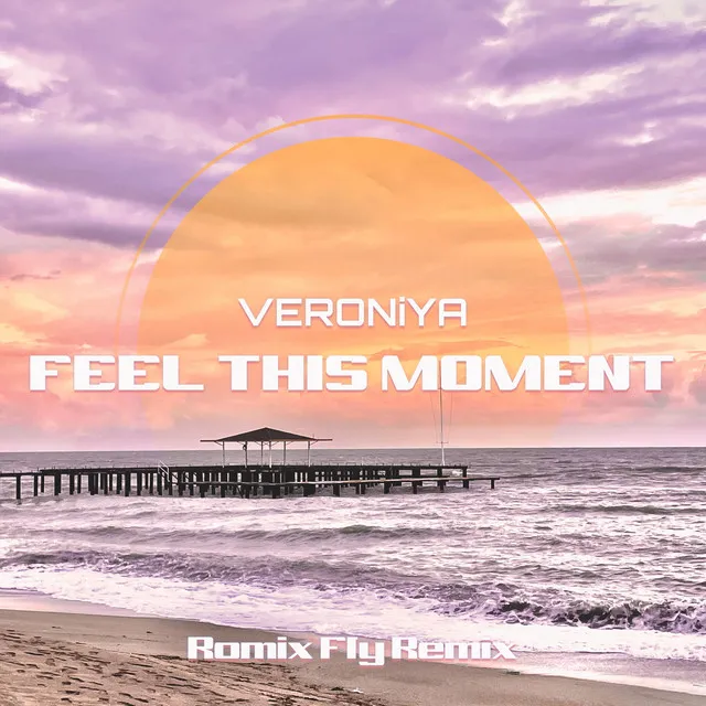 Feel This Moment (Romix Fly Remix)