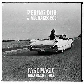 Fake Magic (Gigamesh Remix) by AlunaGeorge