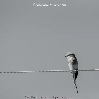 Subtle Trio Jazz - Bgm for Dogs by Comfortable Music for Pets