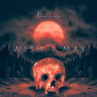 Wish I May by Michael League