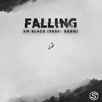 Falling by AM Black