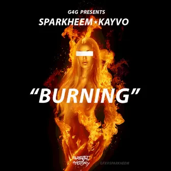 Burning by Sparkheem