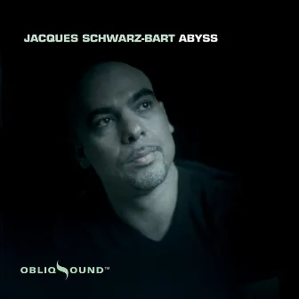 Abyss by Jacques Schwarz-Bart