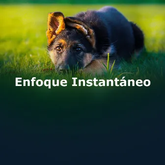 Enfoque Instantáneo by Música relajante para aliviar el estrés