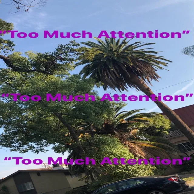 Too Much Attention