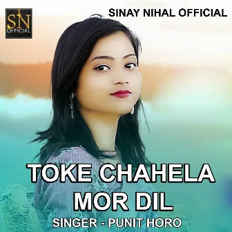 Toke Chahela Mor Dil ( Devotional Song ) by Punit Horo