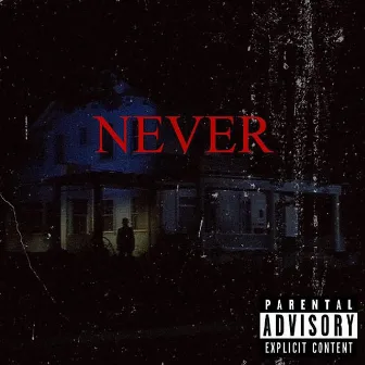 Never by N8V