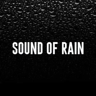 Sound of Rain by Rain Sounds Lab