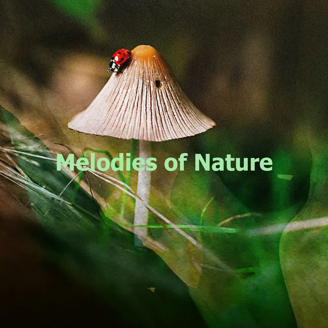 Melodies of Nature