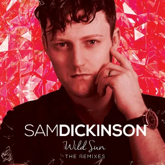 Wild Sun (The Remixes) by Sam Dickinson