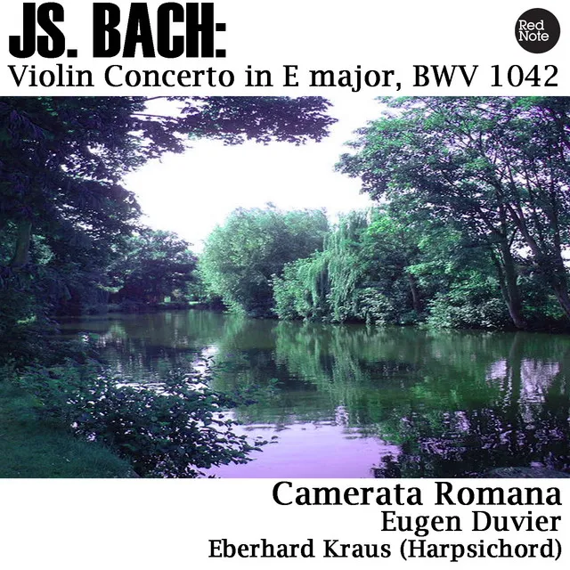 Violin Concerto in E major, BWV 1042: III. Allegro