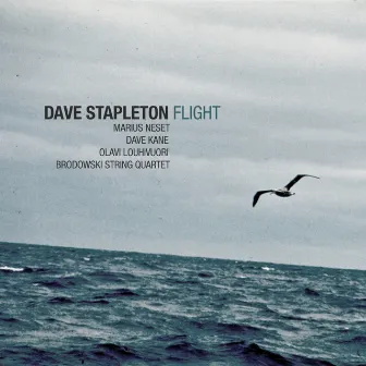 Flight by Dave Stapleton