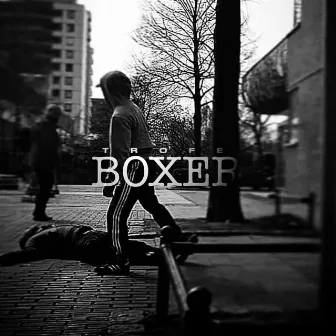 Boxer by Trofe