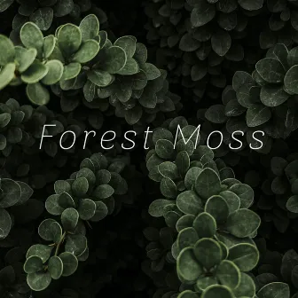 World Plays You a Lullaby by Forest Moss