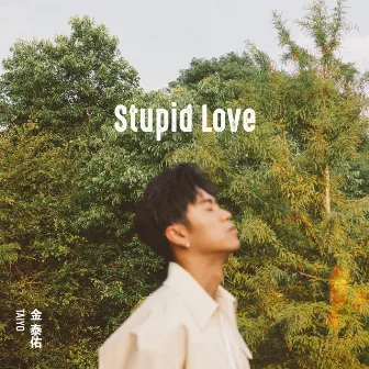 Stupid Love by TAIYO