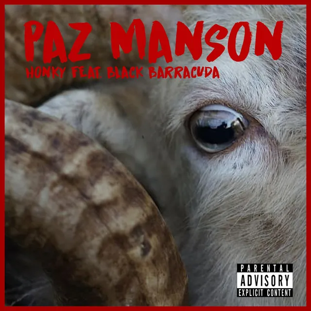 Paz Manson