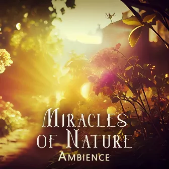 Miracles of Nature Ambience: Relax in The Middle of Nature by Ambient Sounds Collection