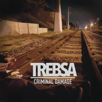 Criminal Damage by Trebsa