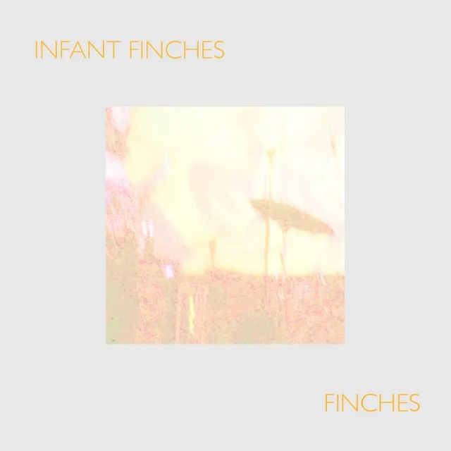 Finches - Single Version