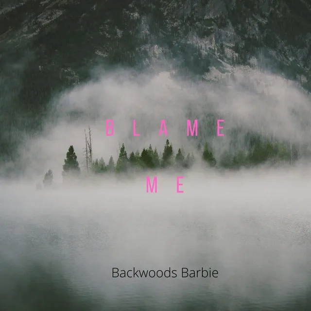 Blame Me