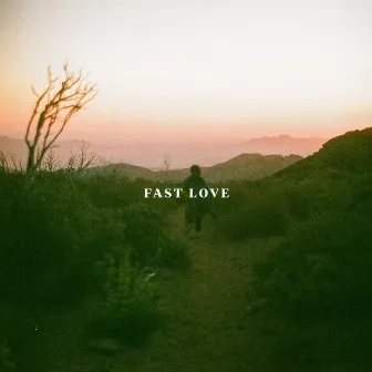 Fast Love by Hayden Everett