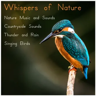 Whispers of Nature (Nature Music and Sounds, Countryside sounds, Thunder and Rain, Singing Birds) by Music of the Forest