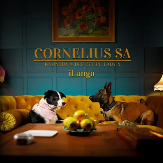 iLanga (feat. Lady X) [Radio Edit] by Cornelius SA